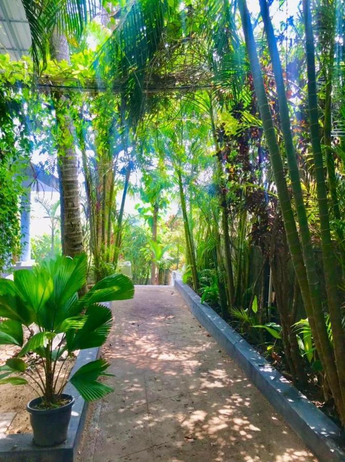 Petit Ana Beach Retreat Varkala Zewnętrze zdjęcie