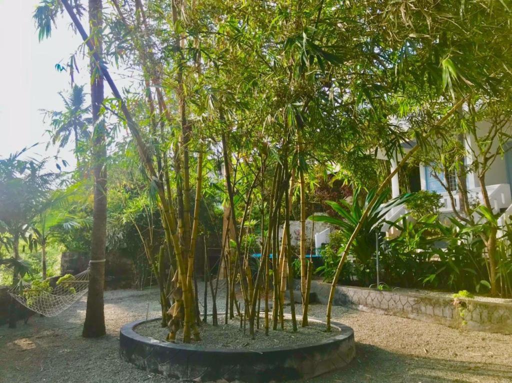 Petit Ana Beach Retreat Varkala Zewnętrze zdjęcie